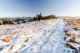 201301011500-AJS_6006.jpg